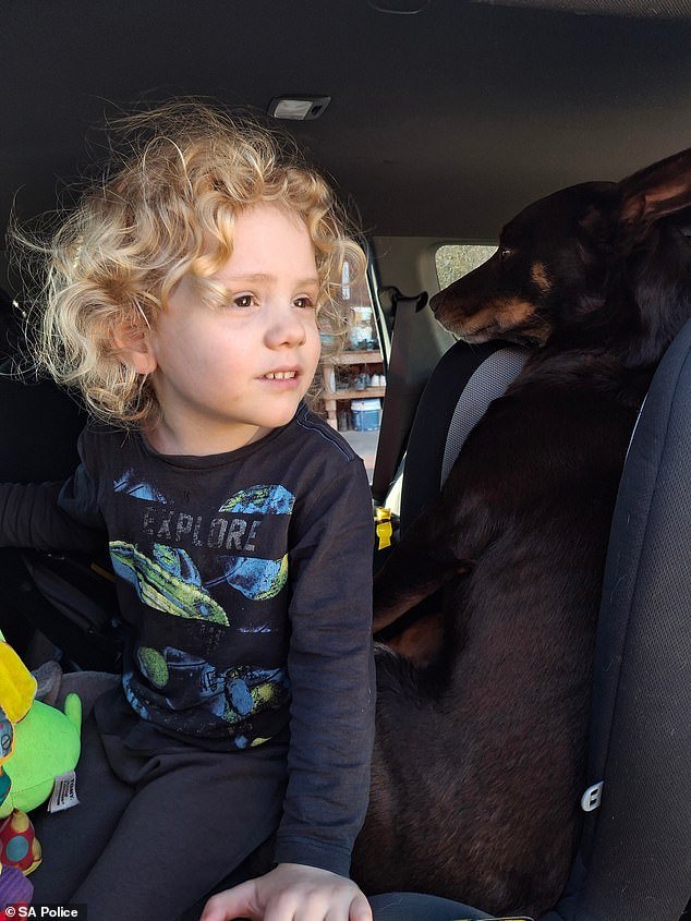 Nuevas y desgarradoras fotos de la desaparición de Gus Lamont dejan a sus afligidos padres pidiendo ayuda cinco meses después de su desaparición.