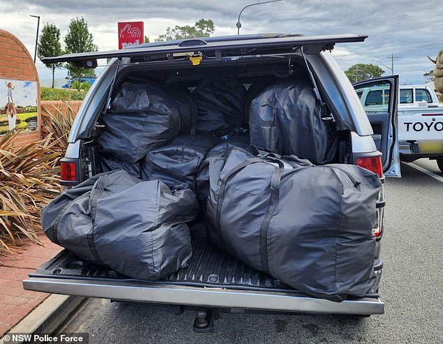 Impactante descubrimiento realizado en bolsas negras después de que la policía detuviera una ute durante una prueba de rutina en la carretera en Goulburn