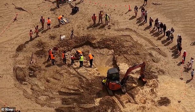 Increíble descubrimiento en la famosa playa australiana: «Es simplemente alucinante»