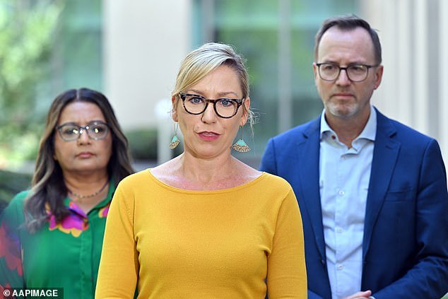 Los Verdes adoptaron la posición más antioccidental imaginable después del bombardeo de Estados Unidos a Irán… Incluso Albo puede ver algo que se niegan a admitir: Peter van Anselen