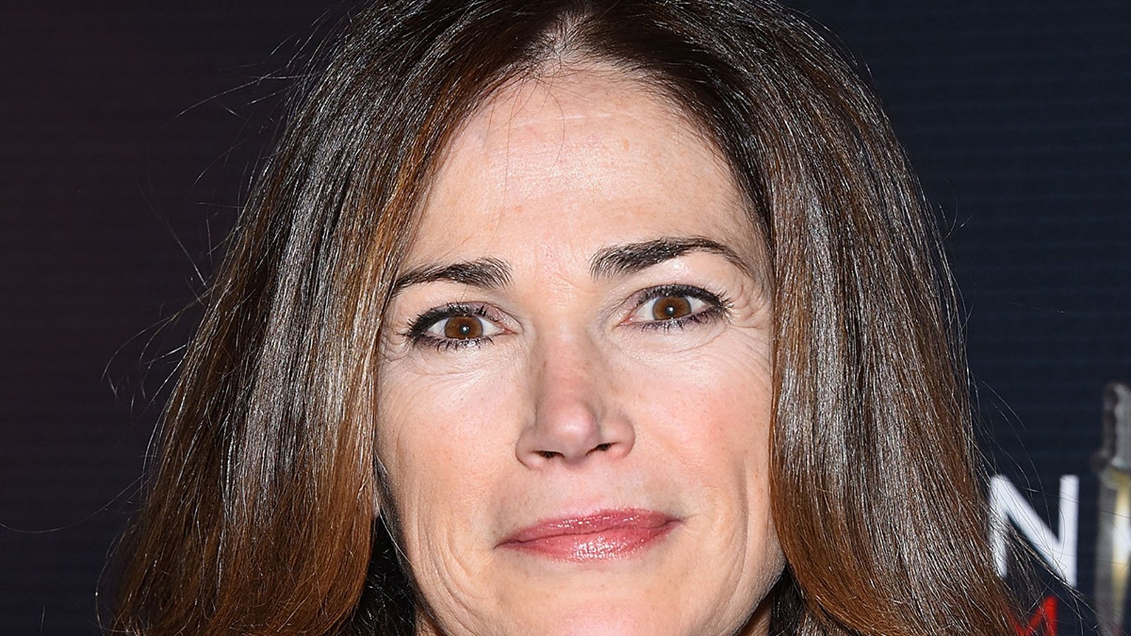 Kim Delaney le dijo al juez que abandonó la escena del accidente porque era demasiado famosa