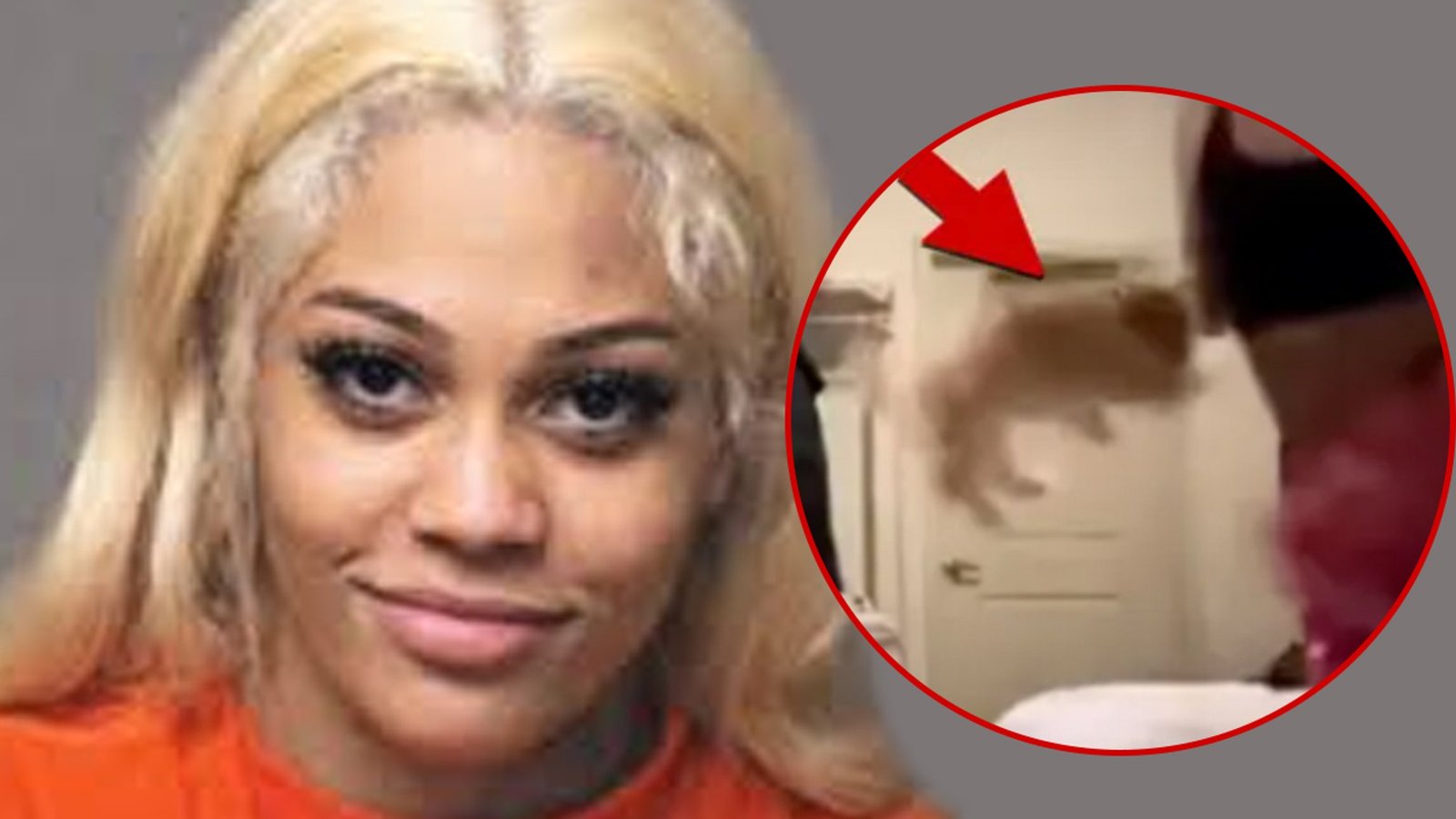 El perro del streamer Aspen Cartier está recibiendo solicitudes de adopción y se lo coloca en un hogar de acogida