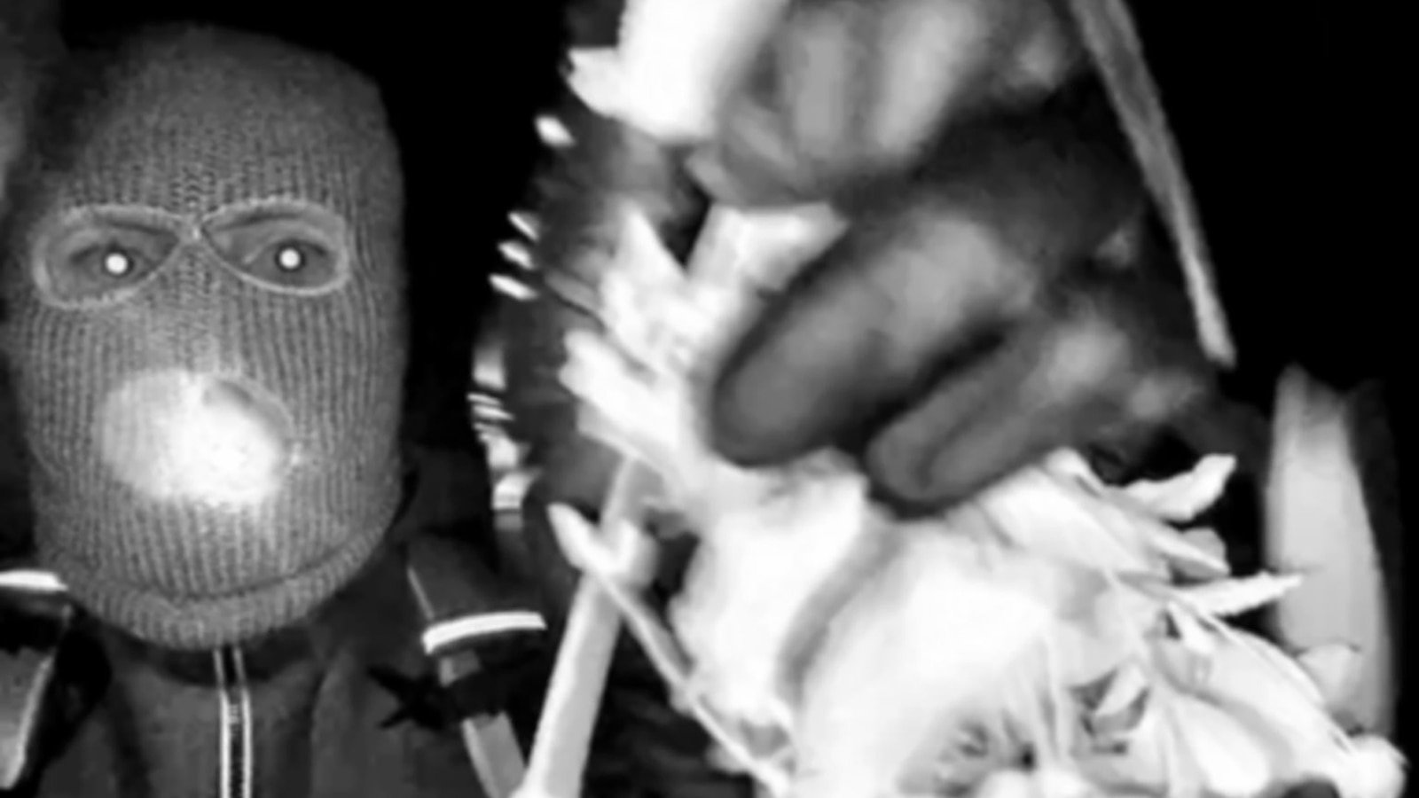 Lo que sabemos sobre el sospechoso del secuestro de Nancy Guthrie