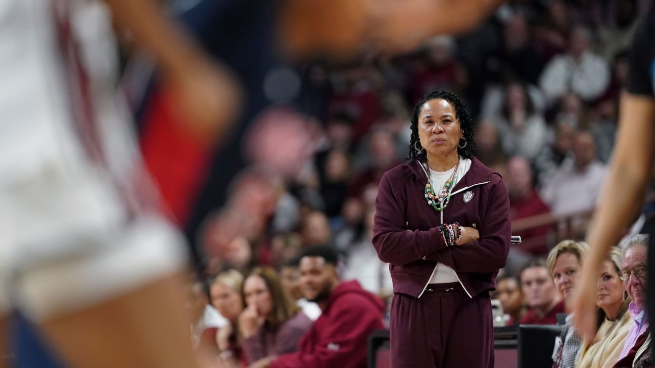 Carolina del Sur se hace con la eliminatoria por el título de la SEC, pero la fiesta está en suspenso