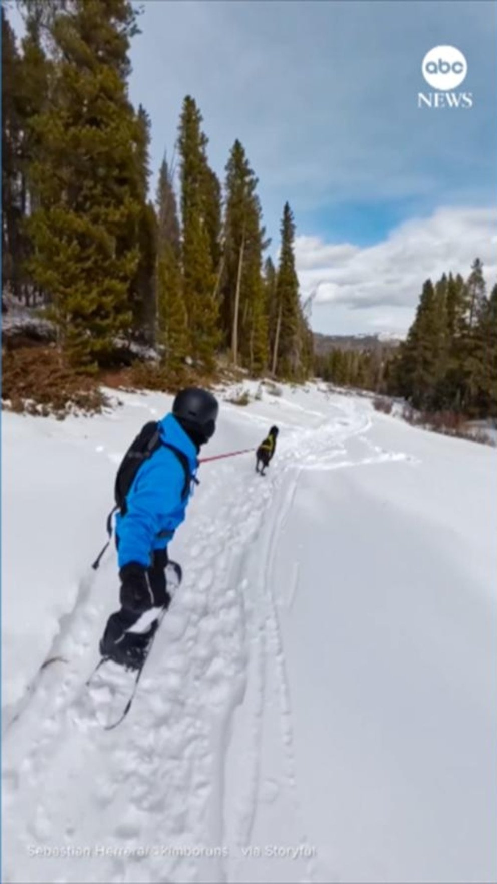 Ver: Un practicante de snowboard de Colorado no necesita mucha inclinación alrededor de este perro.