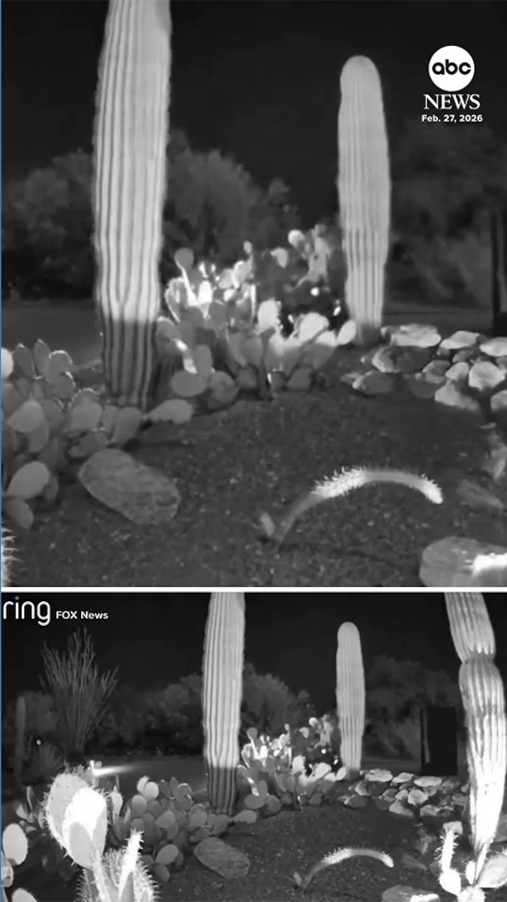 Vídeo La investigación de Nancy Guthrie descubre un nuevo vídeo del coche