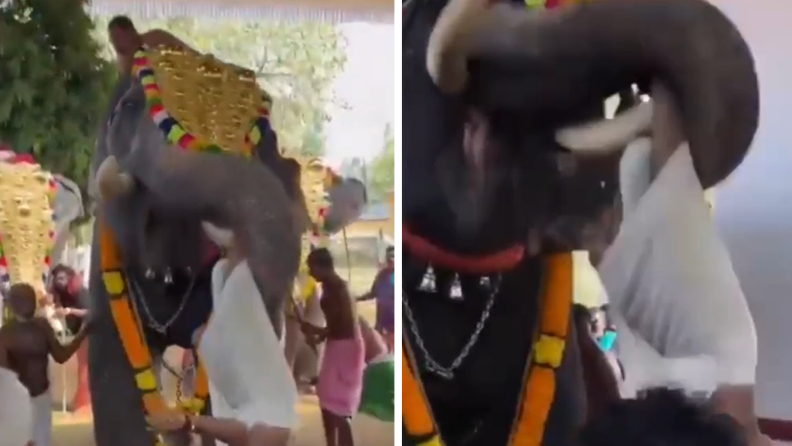 En el vídeo, el elefante arroja al hombre como si fuera un muñeco de trapo en el festival