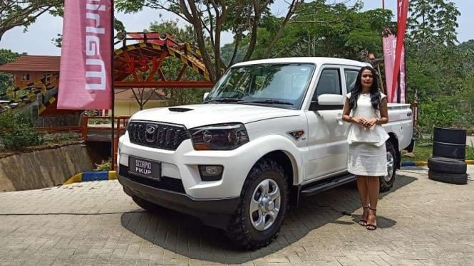 Importación de automóviles para cooperativas rurales, recuerda proyecto AMMDes