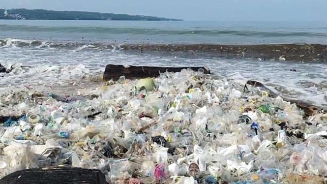 Enseñanza de Cuidado del Medio Ambiente, Dirección General de Ciencias Políticas y Políticas, Ministerio del Interior invitó a los estudiantes a limpiar las playas de Bali