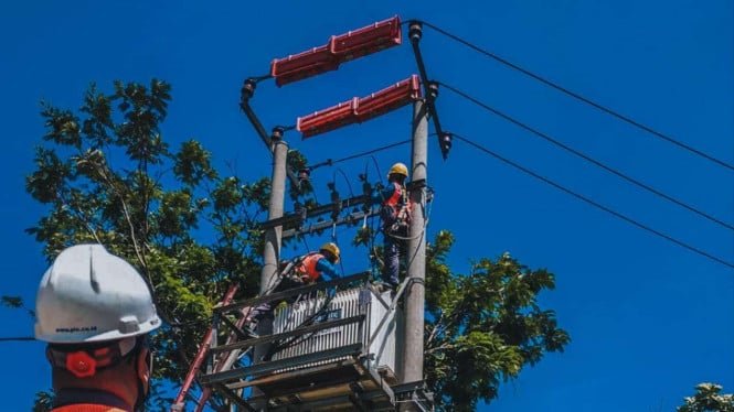El suministro eléctrico de Bali sufre un apagón masivo, el PLN revela la causa