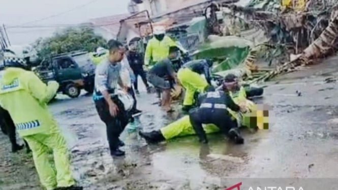 Momentos El comisionado de policía Edwin murió cuando un gran árbol cayó en Kalimantan del Sur