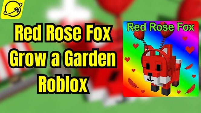 Guía completa de Red Rose Fox para cultivar un jardín: cómo conseguirlo y sus beneficios
