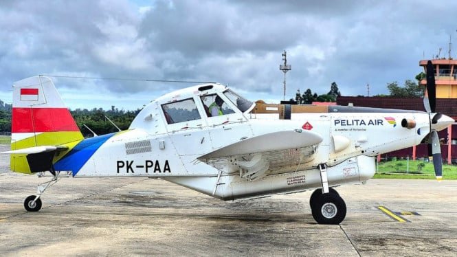 Horario de vuelos de Charter Air Tractor AT-802 PK-PAA Pelita Air Service