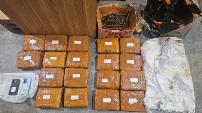 Hombre arrestado por almacenar 18 kg de marihuana en el estacionamiento de Alfamart Kebon Jeruk, oeste de Yakarta