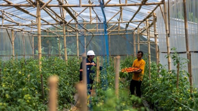 La transformación de la agricultura circular de ANTAM para la seguridad alimentaria de las aldeas