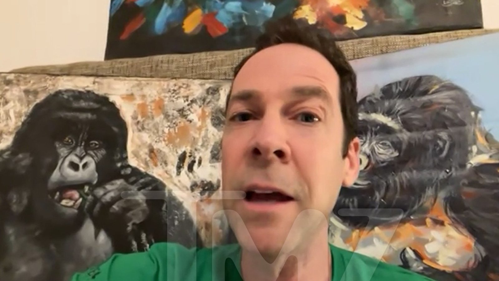 El mono viral Punch necesita una verdadera madre que lo ame, dice un experto