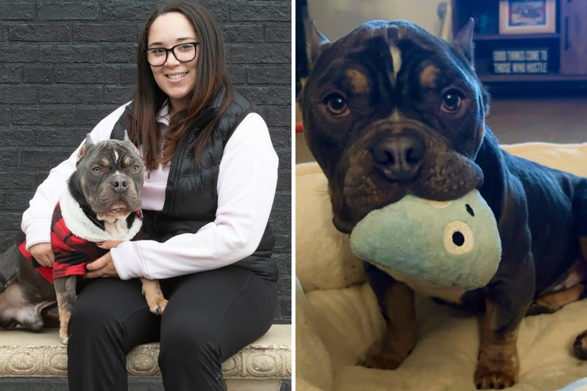 La mujer protege al perro; lo que hace el día 1 le muestra que no es temporal