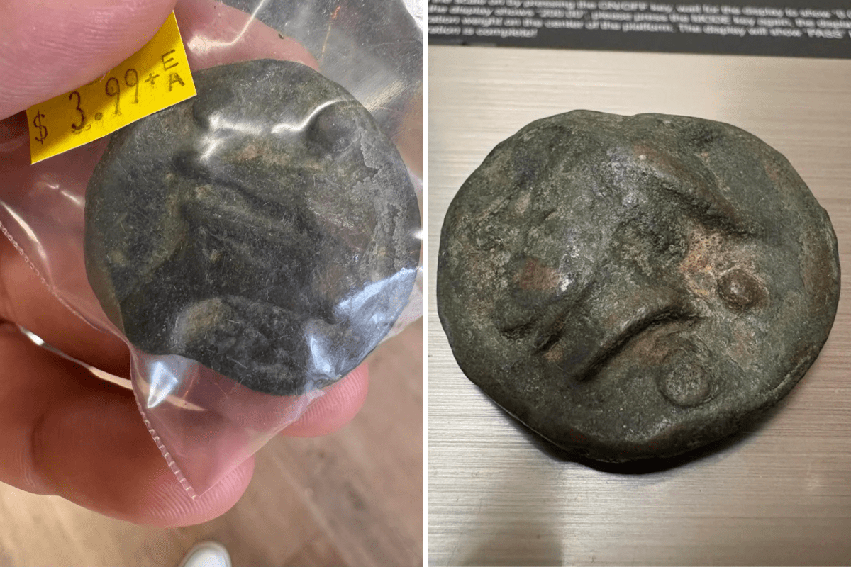 Un hombre paga 3,99 dólares por un artículo de una tienda de segunda mano; un experto revela que tiene 2200 años