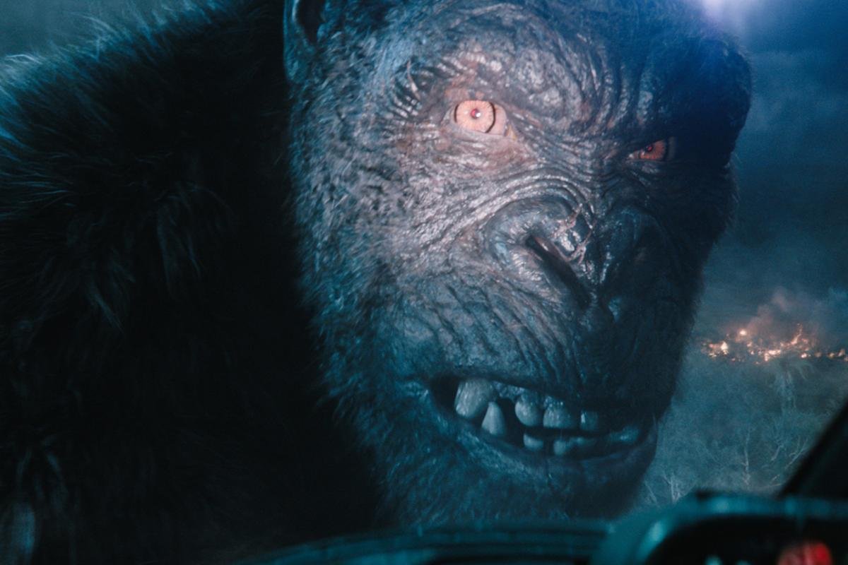 ¿Transmitirlo u omitirlo?