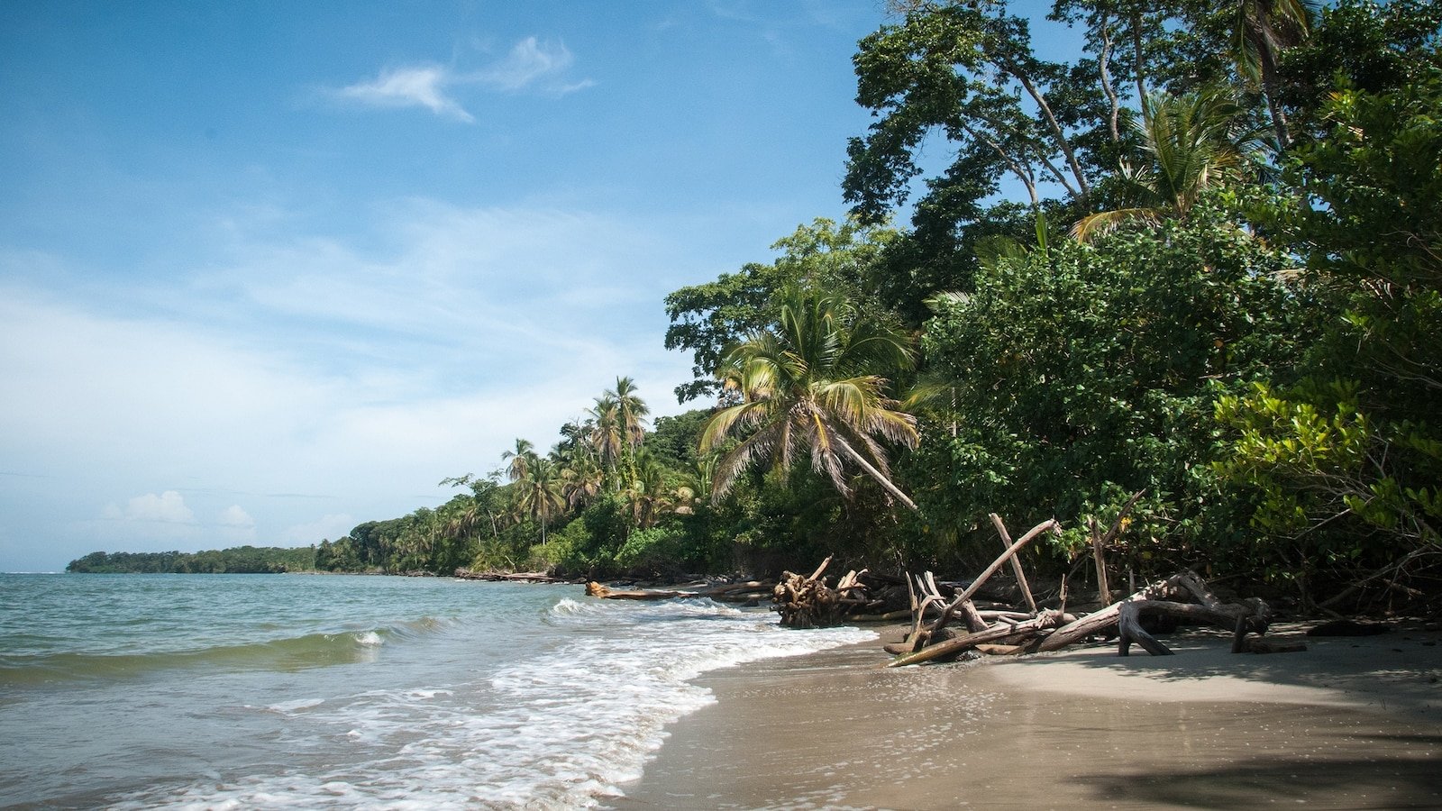 El surfista estadounidense Kurt Van Dyke fue asesinado en Costa Rica, dicen las autoridades