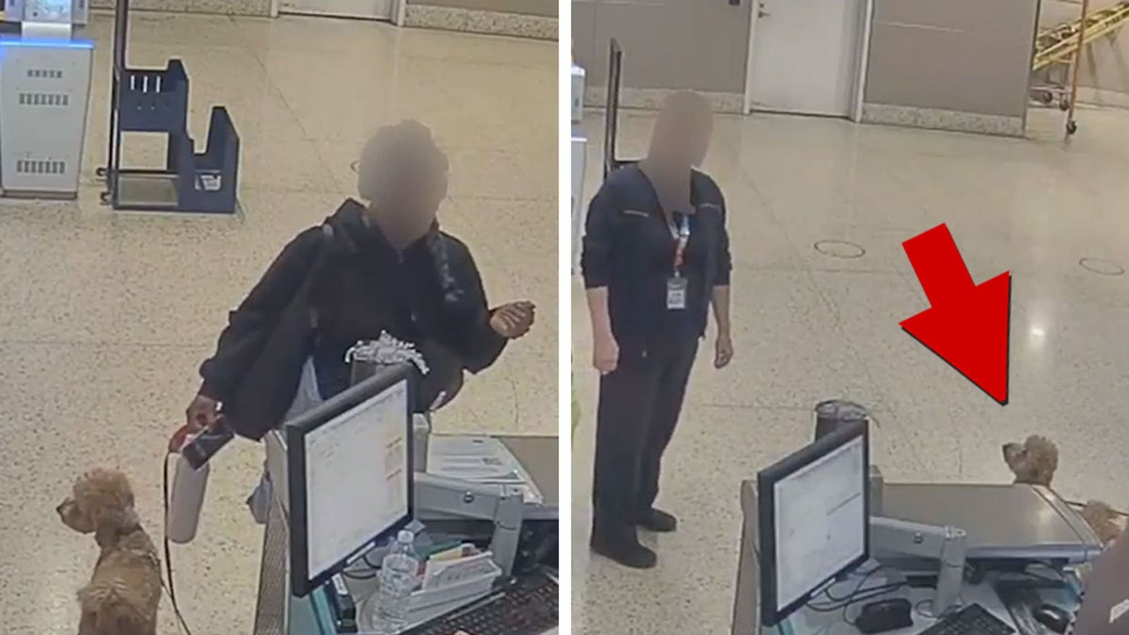 Mujer arrestada en video después de dejar a su perro atado en el aeropuerto