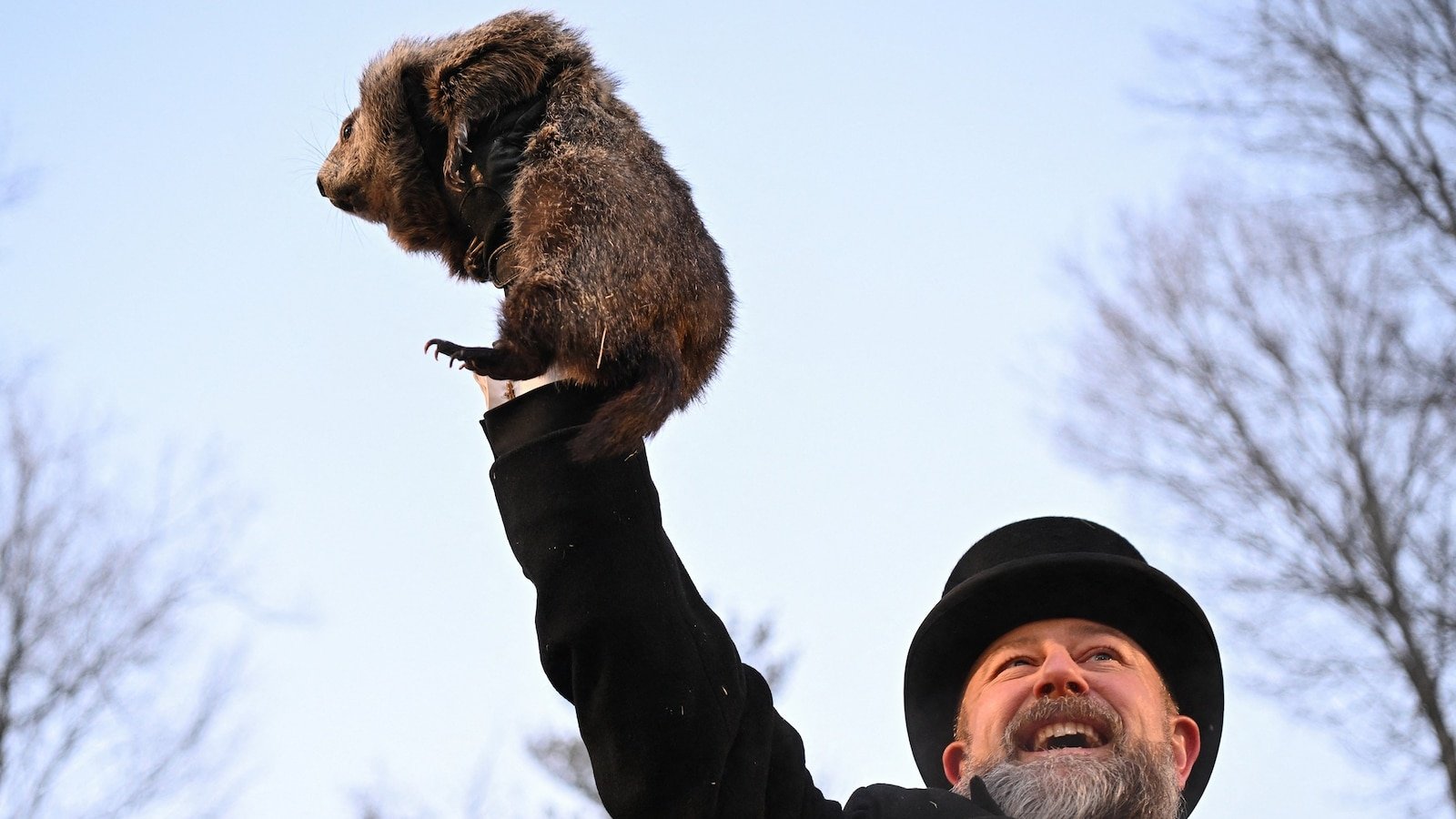El pronóstico del tiempo para el Día de la Marmota de Punxsutawney Phil está aquí