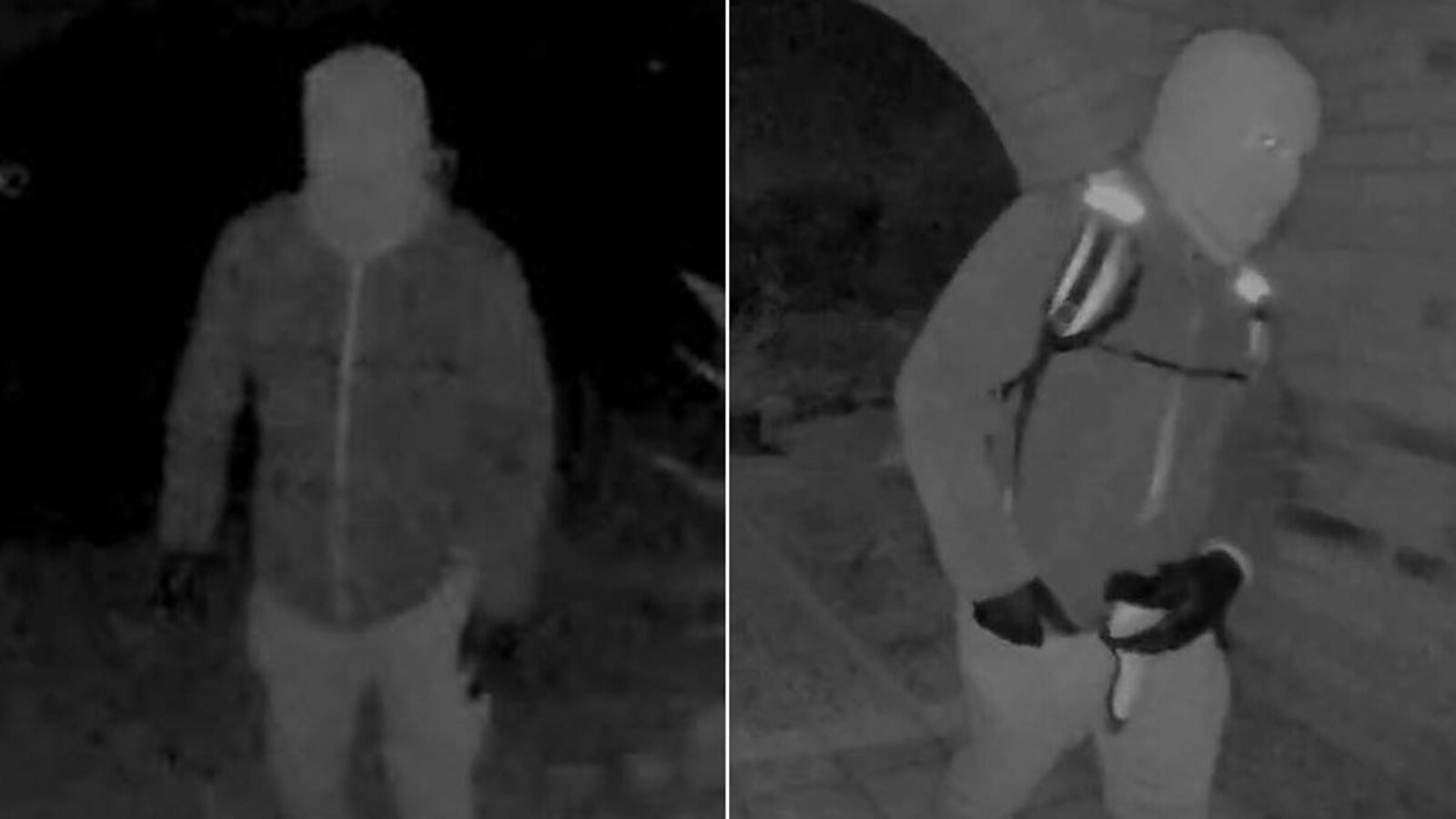 Sospechoso enmascarado del secuestro de Nancy Guthrie visto llegar a su casa antes del secuestro: Fuentes