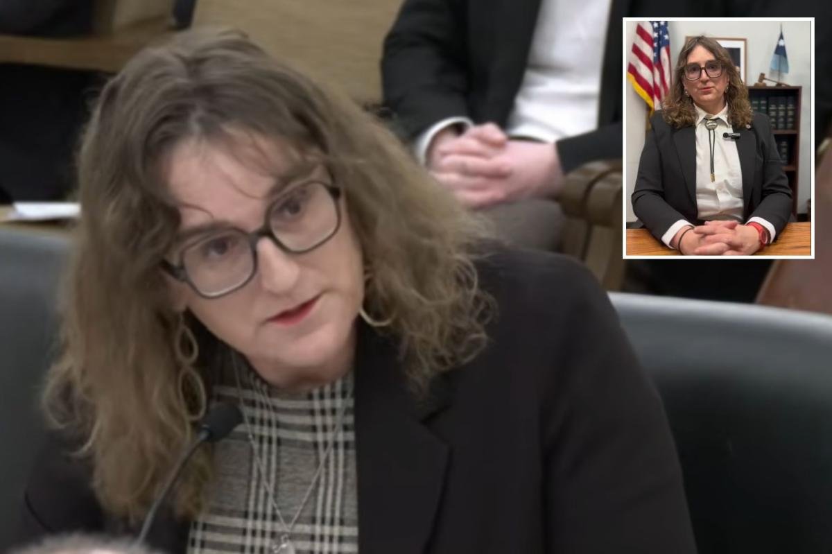 Demócrata trans Minnesota. Leigh Fink sostiene que razones «educativas» requieren acceso a sitios de pornografía infantil «divertidos»
