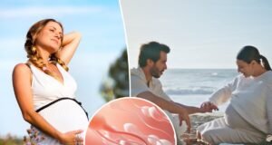 Sperm descubre por qué puede ser más fácil quedar embarazada en verano