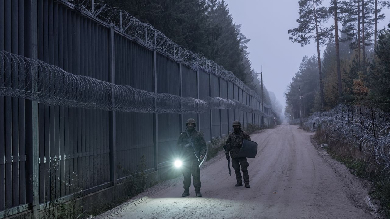 Inmigrantes en el bosque milenario