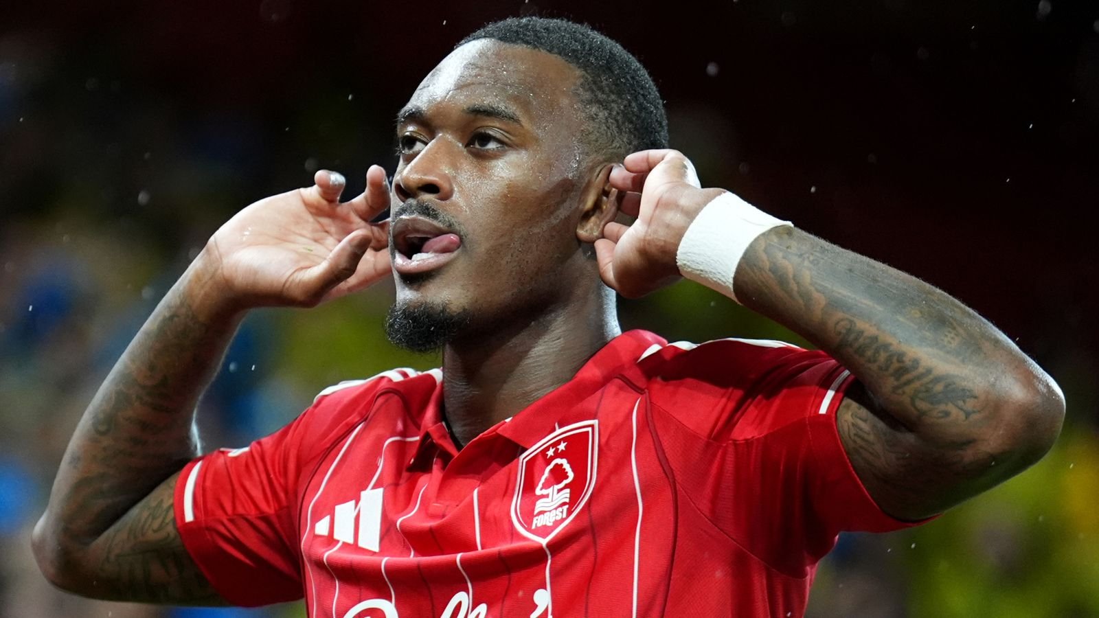 N Forest 1 – 2 Fenerbahçe