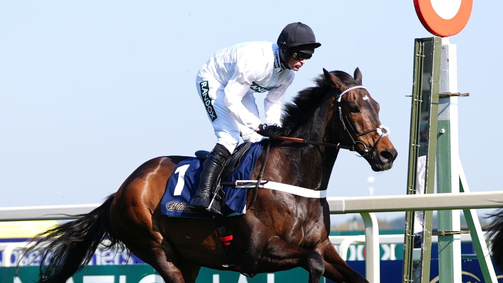 Hoy en Sky Sports Racing: Constitution Hill hace su debut plano en Southwell con Ffos Las también en vivo el viernes | noticias de carreras