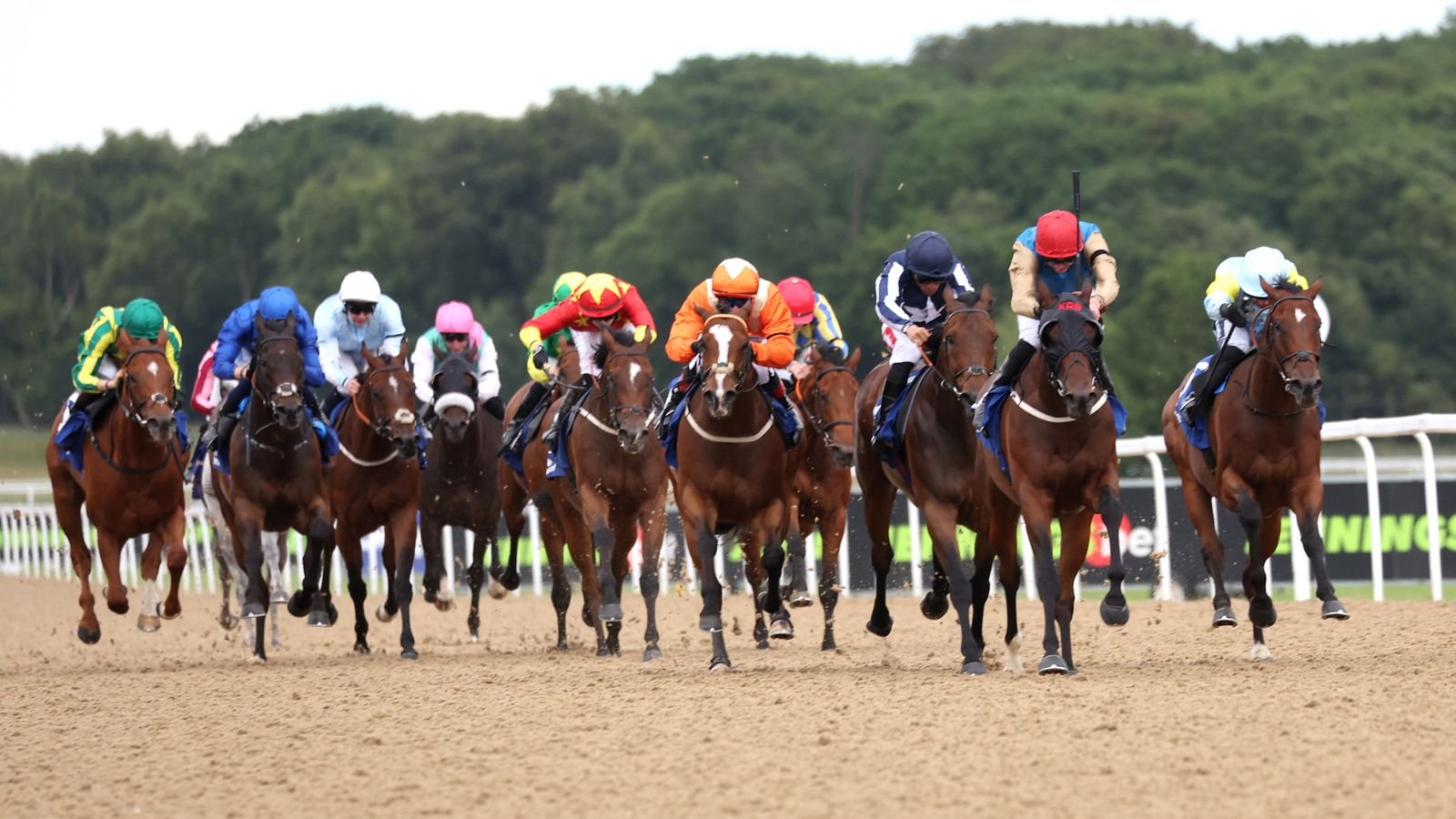 Hoy en Sky Sports Racing: Silky Lass se enfrenta a Lakota Chiefs en Newcastle Novice Race | noticias de carreras