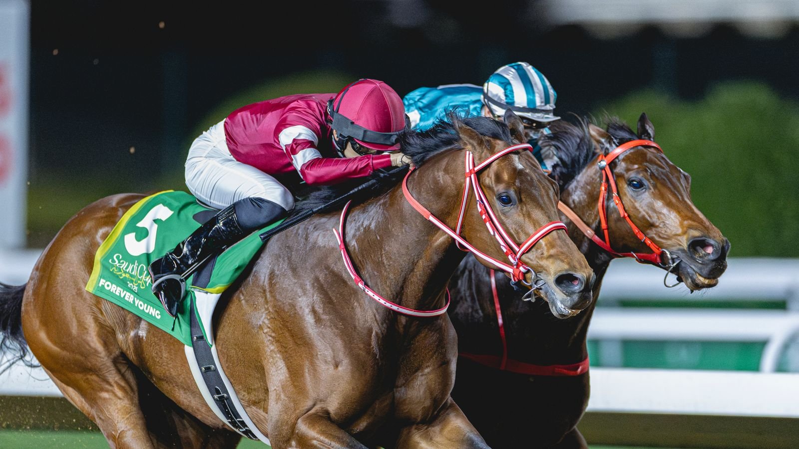 Forever Young vuelve a ser genial en las noticias de Saudi Cup Racing