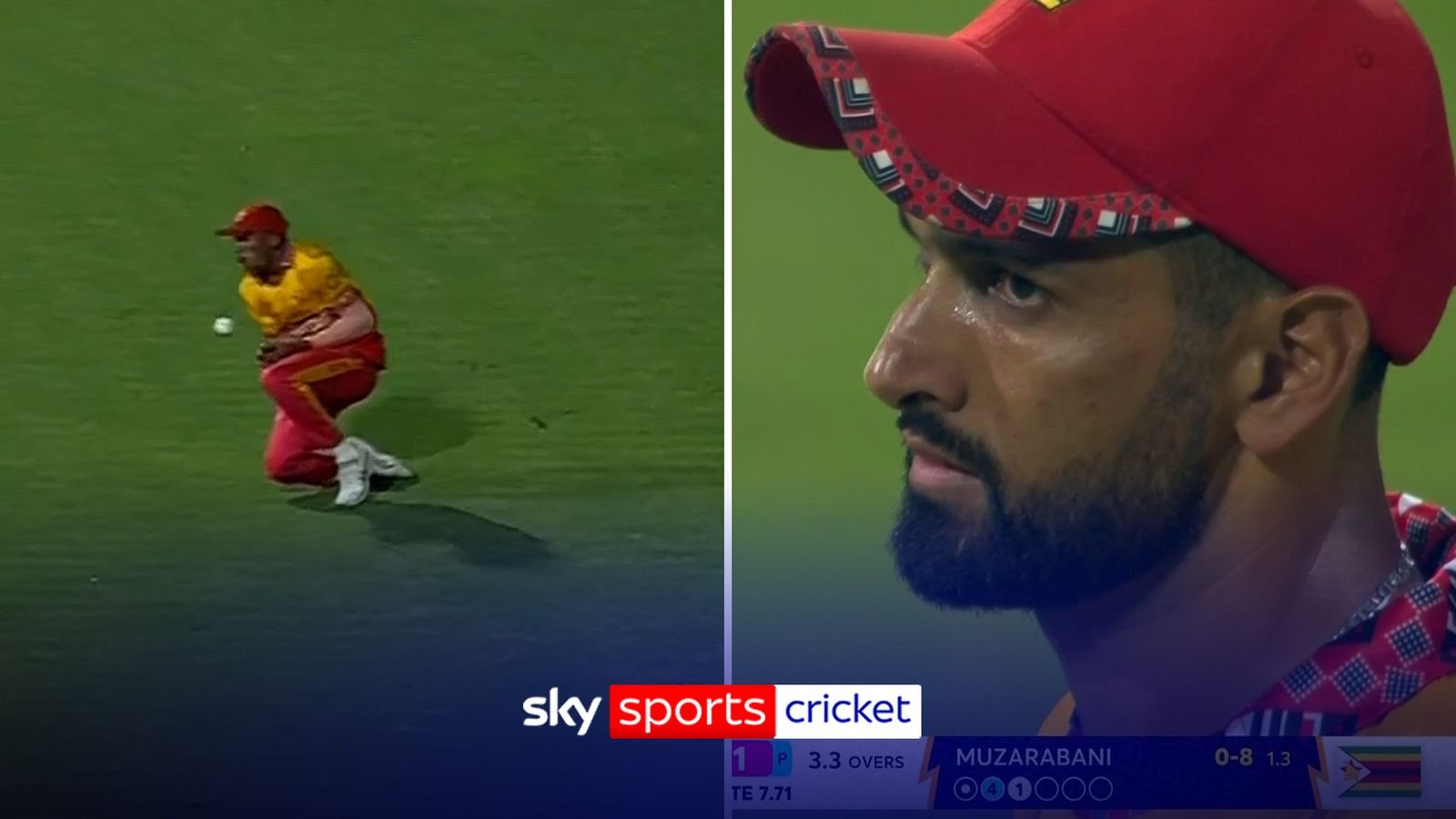 ‘¡Si lo ves, te puede matar!’ | ¡El jardinero zimbabuense dos veces en el mismo bateador!