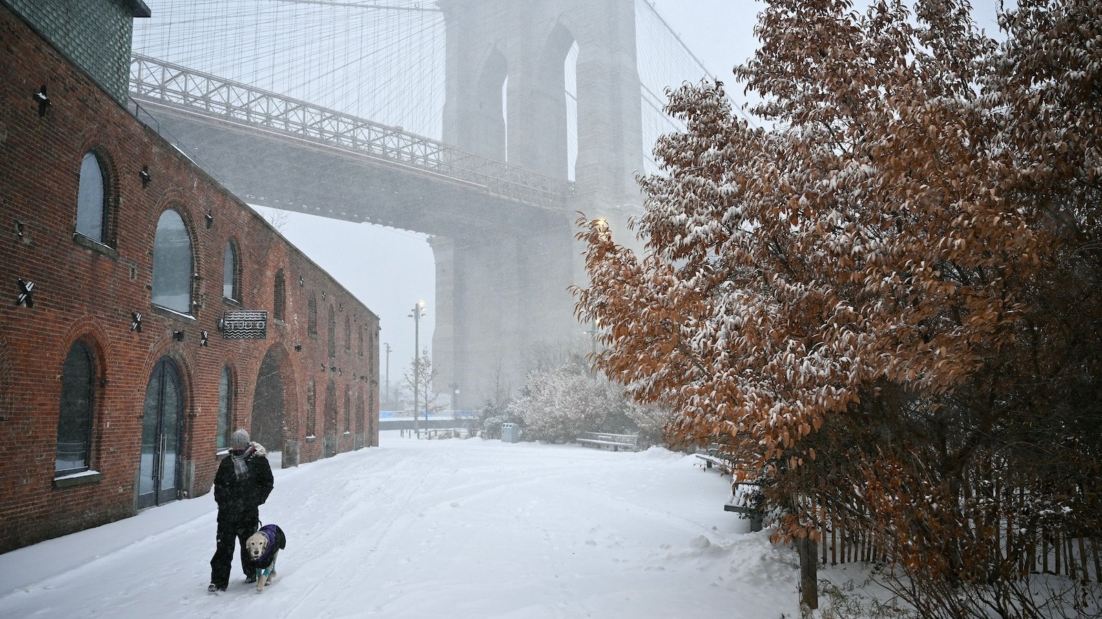 Una tormenta invernal del noreste llegará el viernes antes de la tormenta nororiental del fin de semana