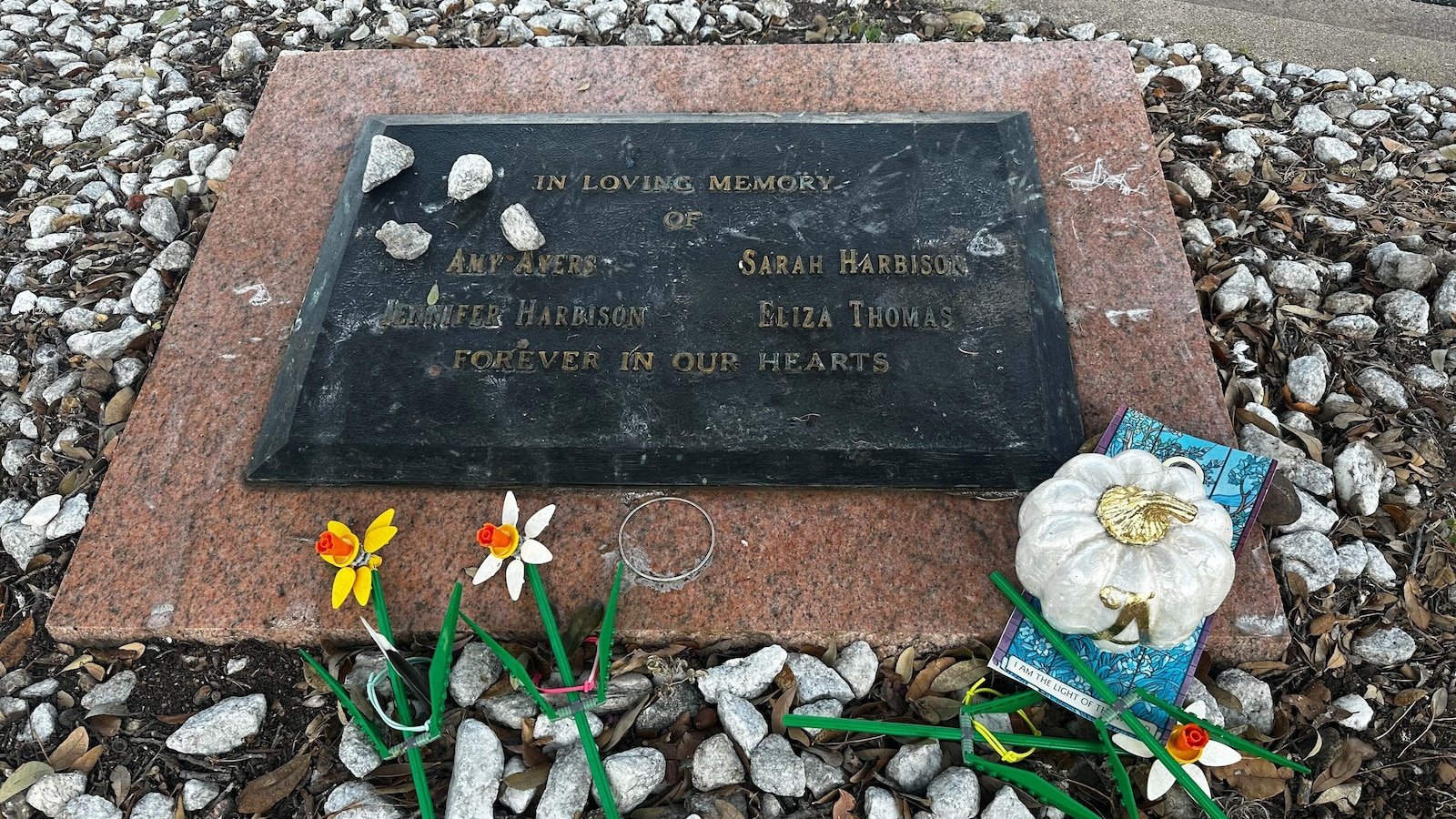 Hombres falsamente acusados de asesinatos en una tienda de yogurt de Austin buscan la deportación formal