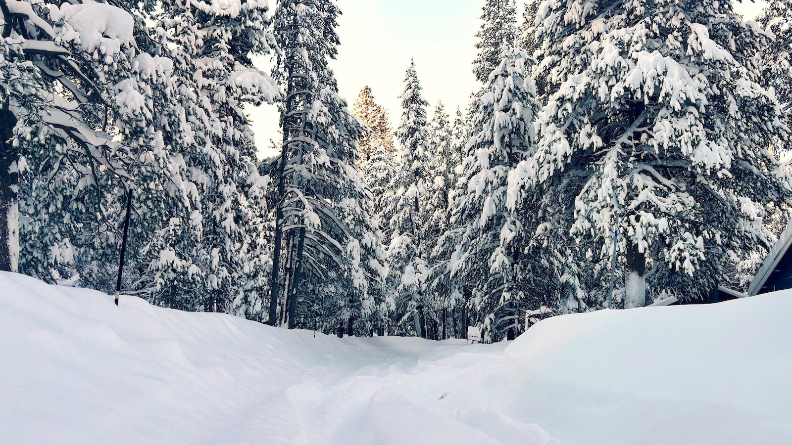 Un viaje de esquí de travesía con equipo turístico que ofrece aventuras en la montaña alrededor del mundo gracias a las nevadas.