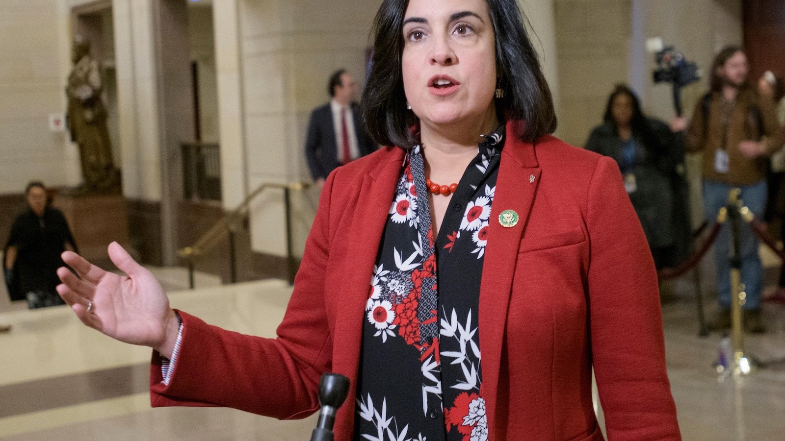 Los republicanos esperan que la Corte Suprema pueda dejar de trazar nuevas líneas para el único escaño republicano en la Cámara de Representantes de Nueva York