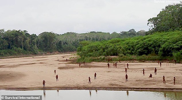 La verdad sobre un inusual video viral de una tribu amazónica que emerge de la selva sin estar familiarizada con una lanza. He estado allí… Esto es lo que realmente sucedió y un año de resultados devastadores.