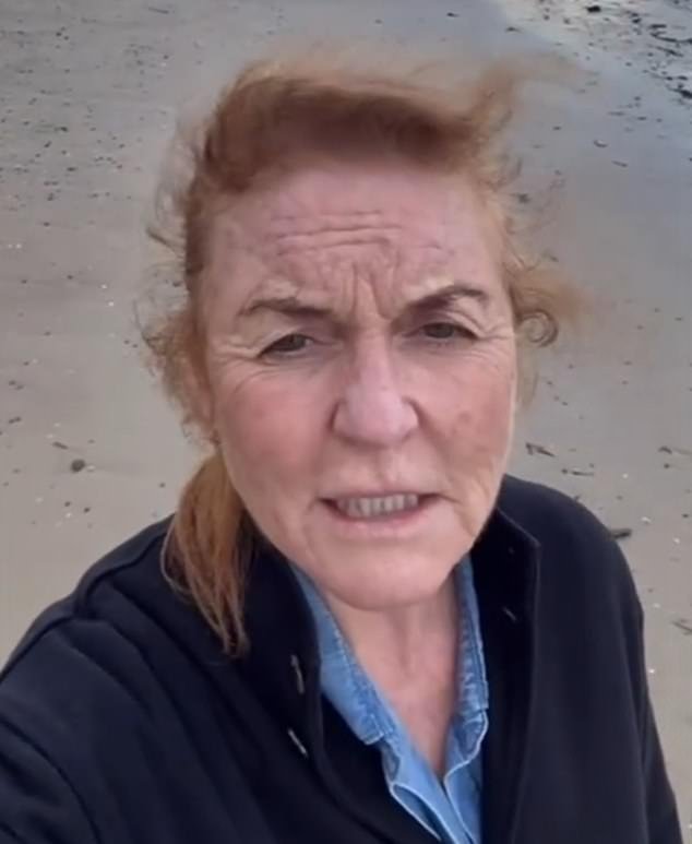 Sarah Ferguson conoció a Epstein en su oficina durante su condena por delitos sexuales contra menores