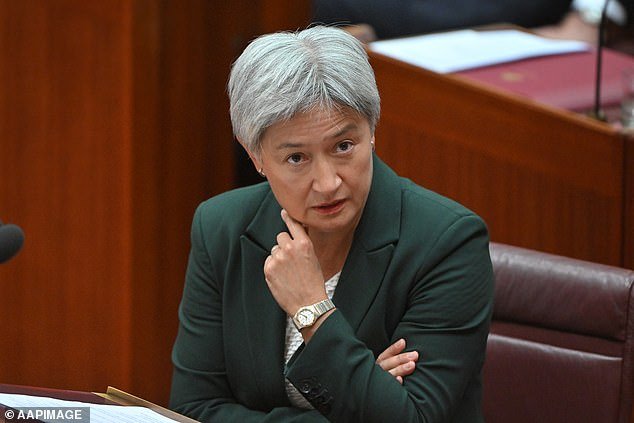 Cómo Penny Wong metió a Pauline Hanson en grandes problemas, antes de que el líder de One Nation respondiera