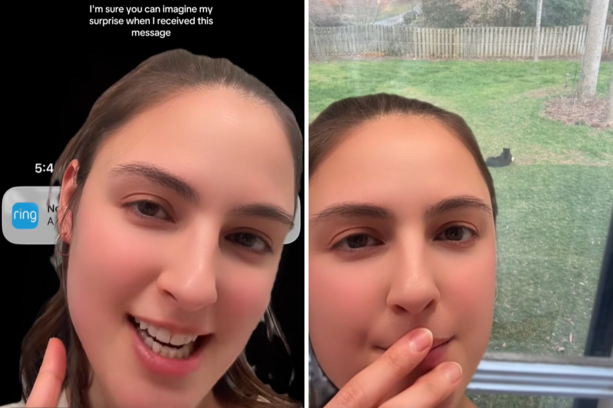 Una mujer recibe una alerta de una cámara en la puerta sobre un oso negro; lo que encuentra la aturde