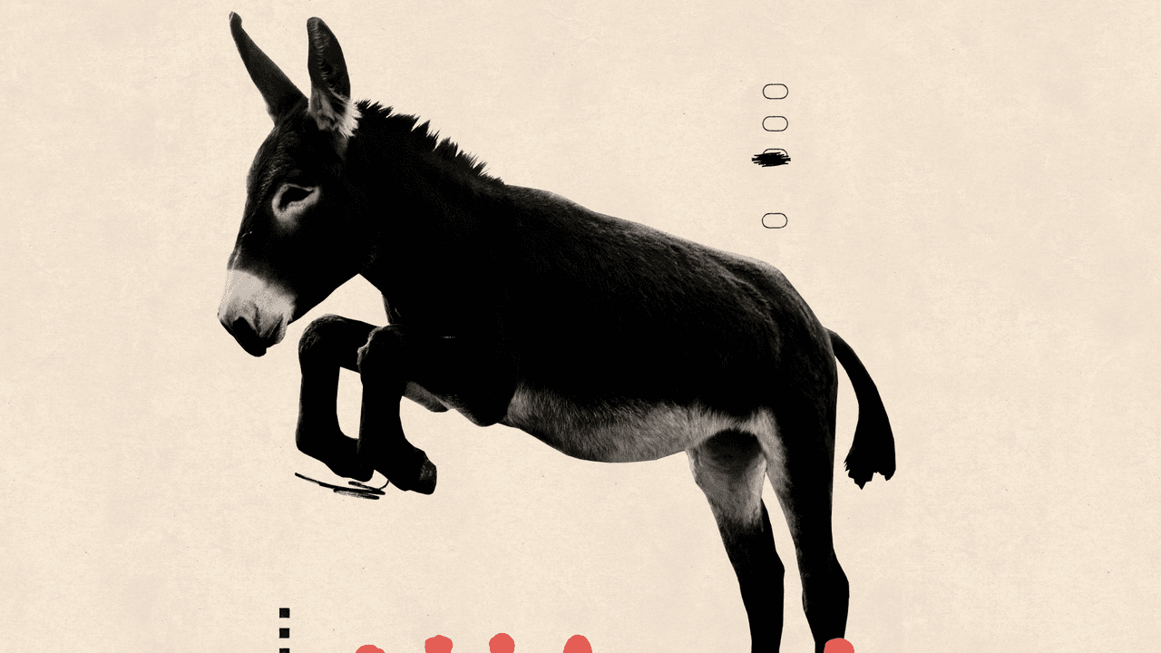 ¿Podrán los demócratas lograrlo juntos?