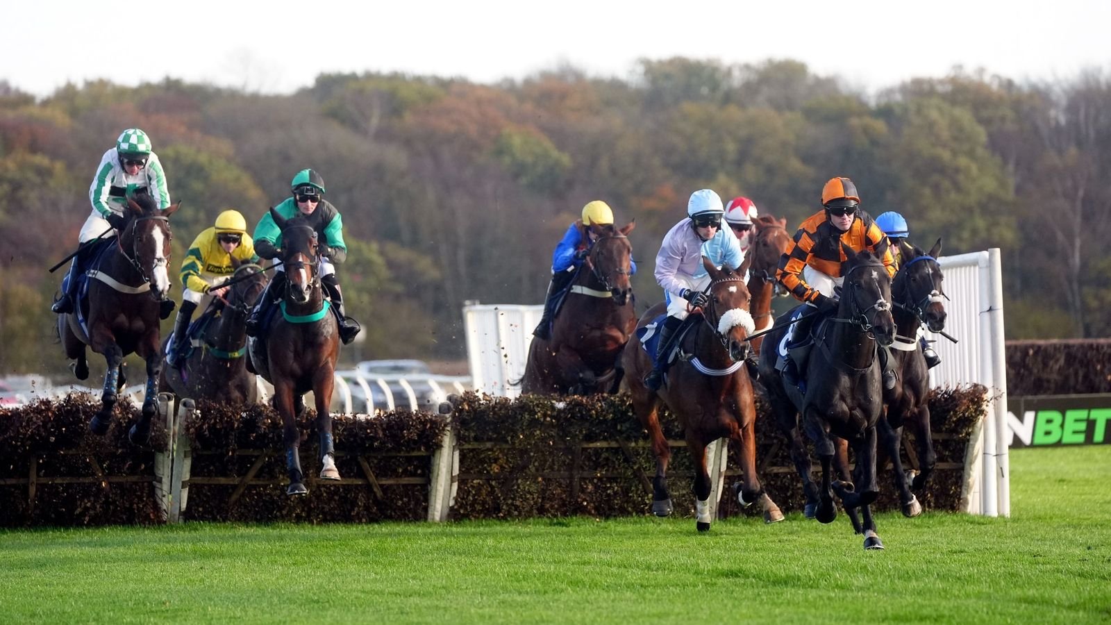 Hoy en Sky Sports Racing: Wolverhampton busca completar un hat-trick en Passing Pleasure Newcastle también en vivo el martes | noticias de carreras